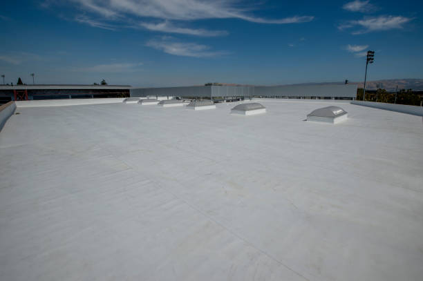 Best Rubber Roofing (EPDM, TPO)  in North Utica, IL