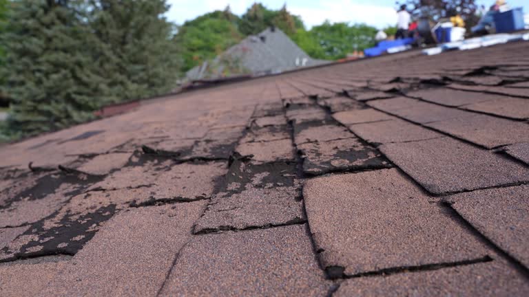 Best Roof Maintenance and Cleaning  in North Utica, IL