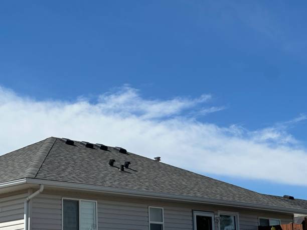 Best Roof Coating and Sealing  in North Utica, IL
